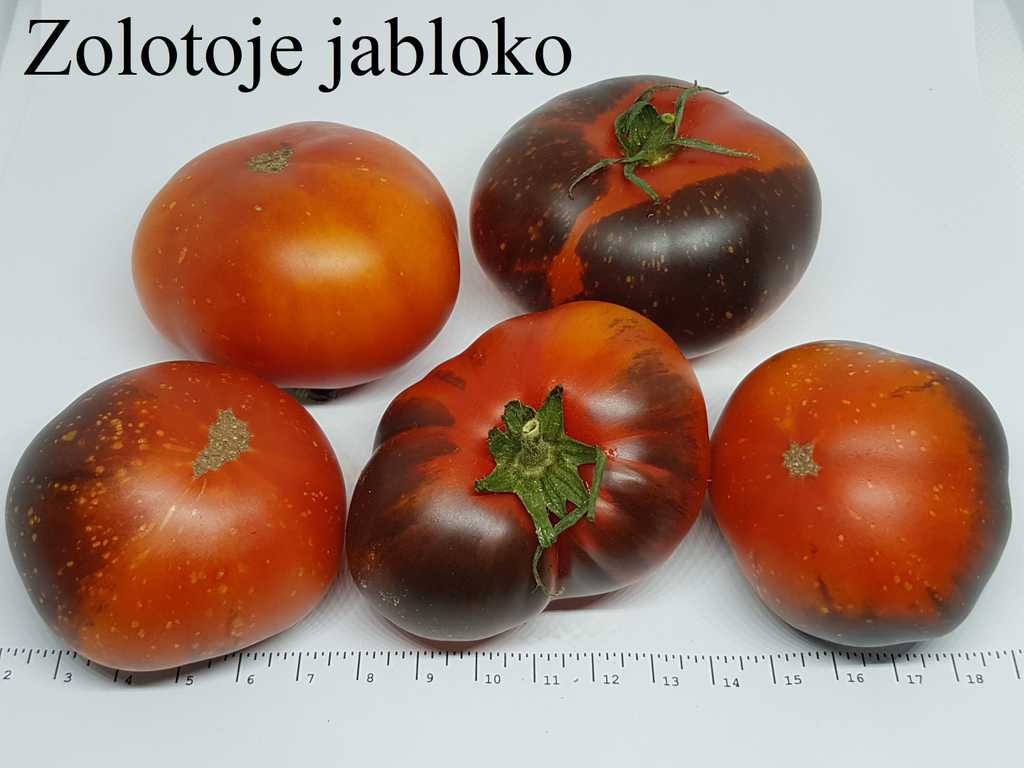 Zolotoje Jabloko